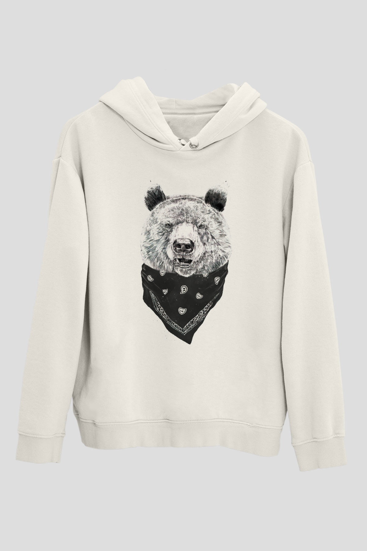 Tasarım Kapşonlu Sweatshirt TSR236