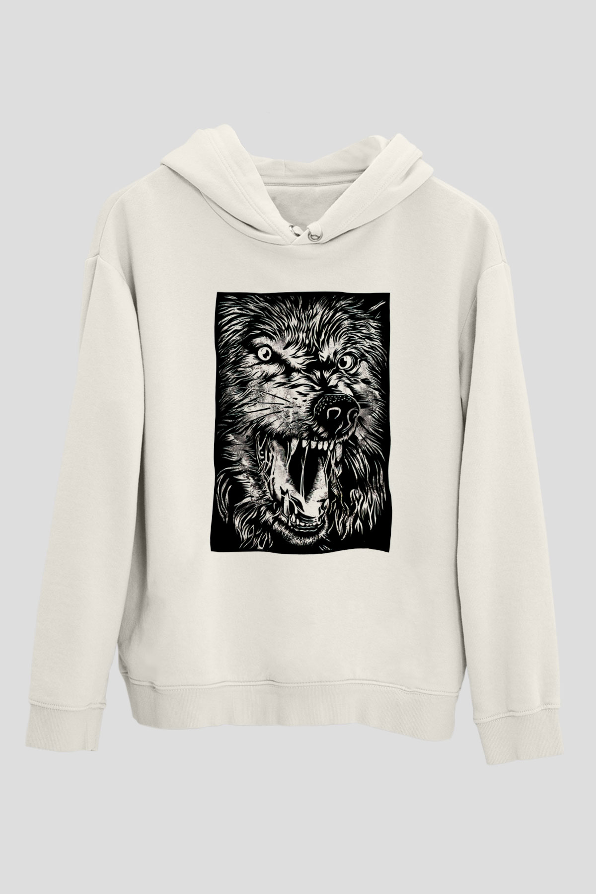 Tasarım Kapşonlu Sweatshirt TSR276