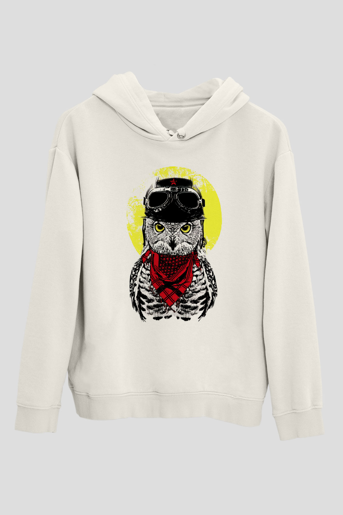 Tasarım Kapşonlu Sweatshirt TSR283