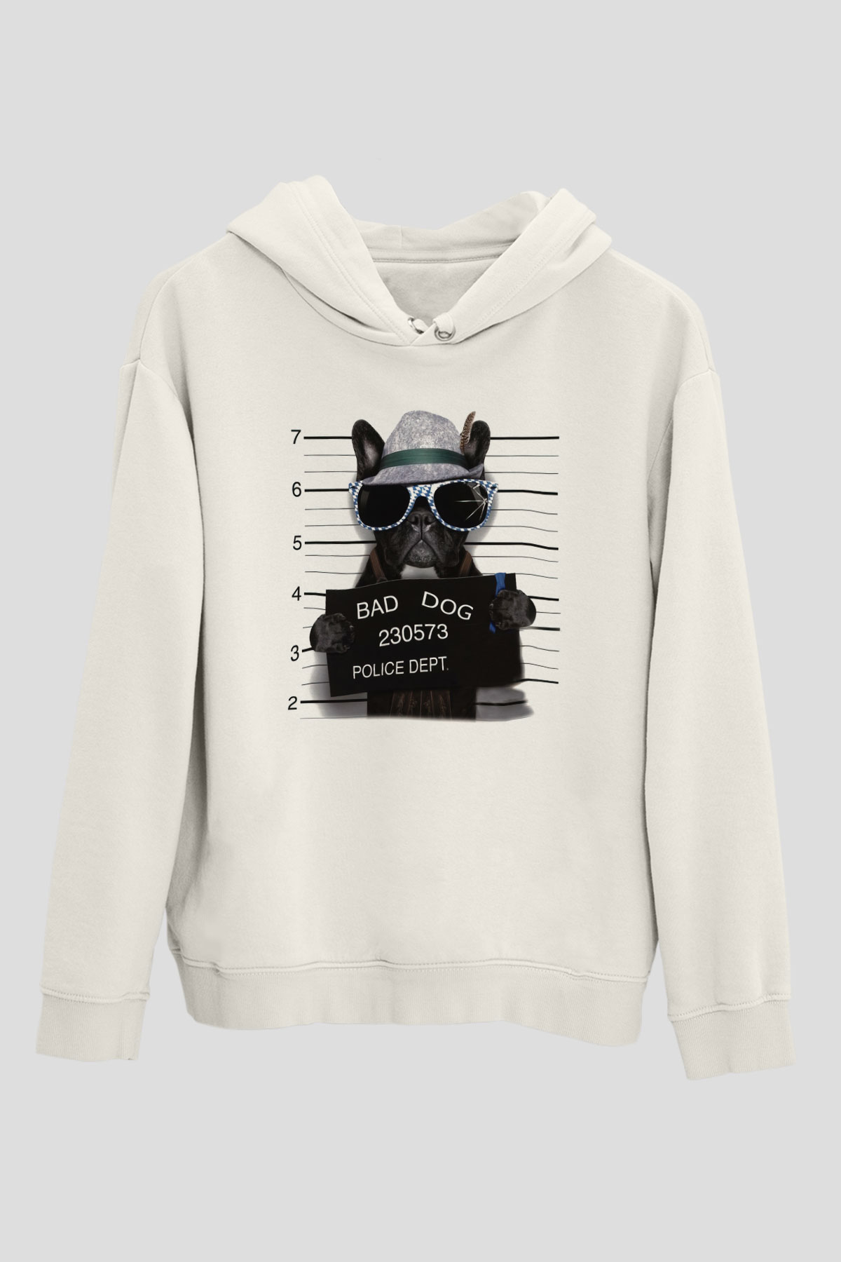 Tasarım Kapşonlu Sweatshirt TSR461