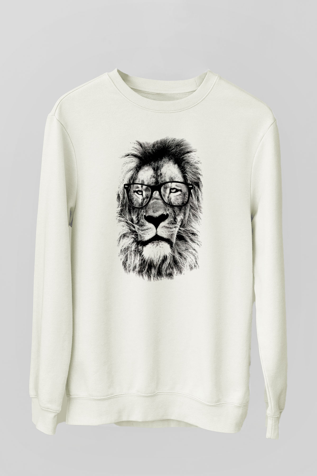 Tasarım Sweatshirt TSR123