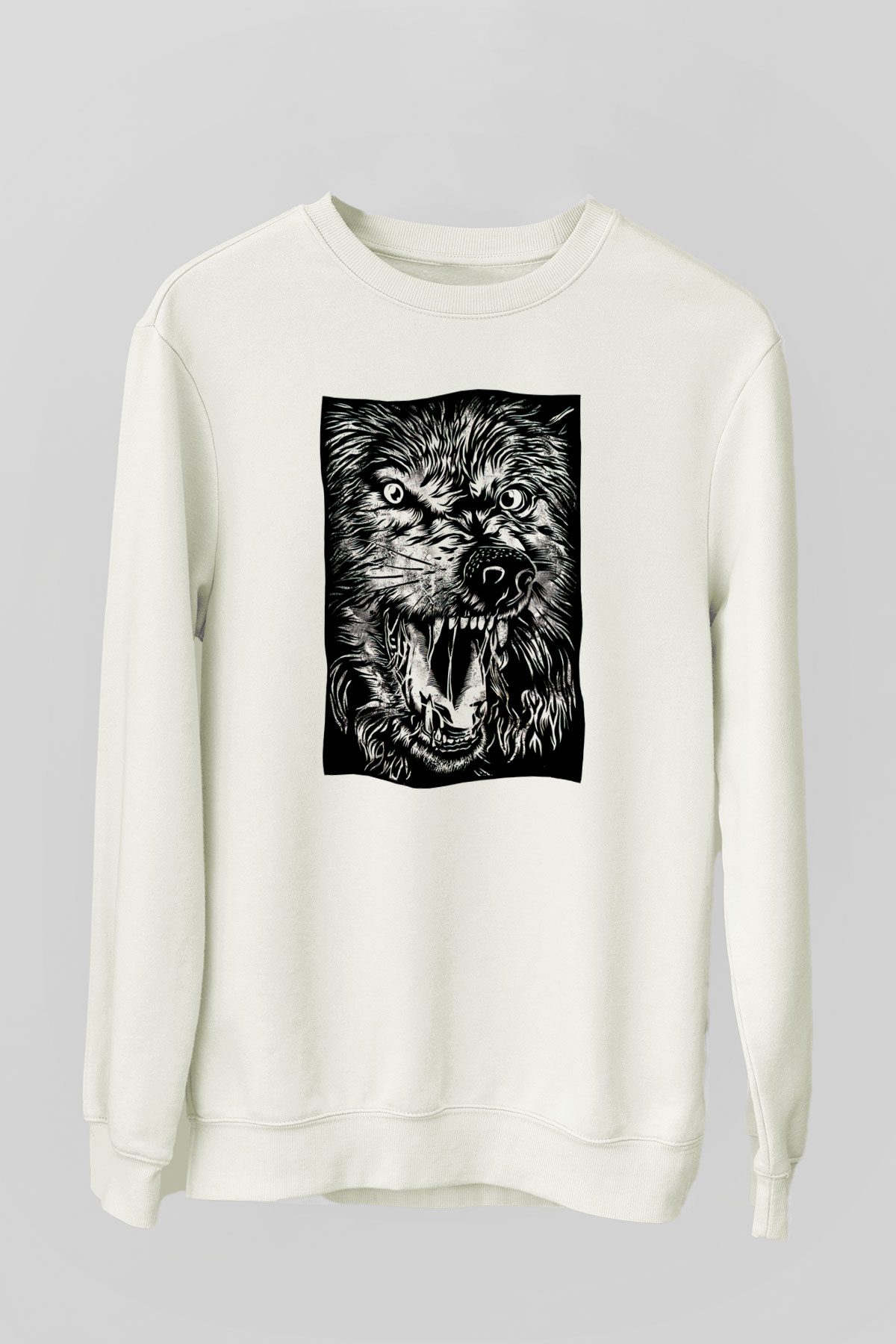 Tasarım Sweatshirt TSR276