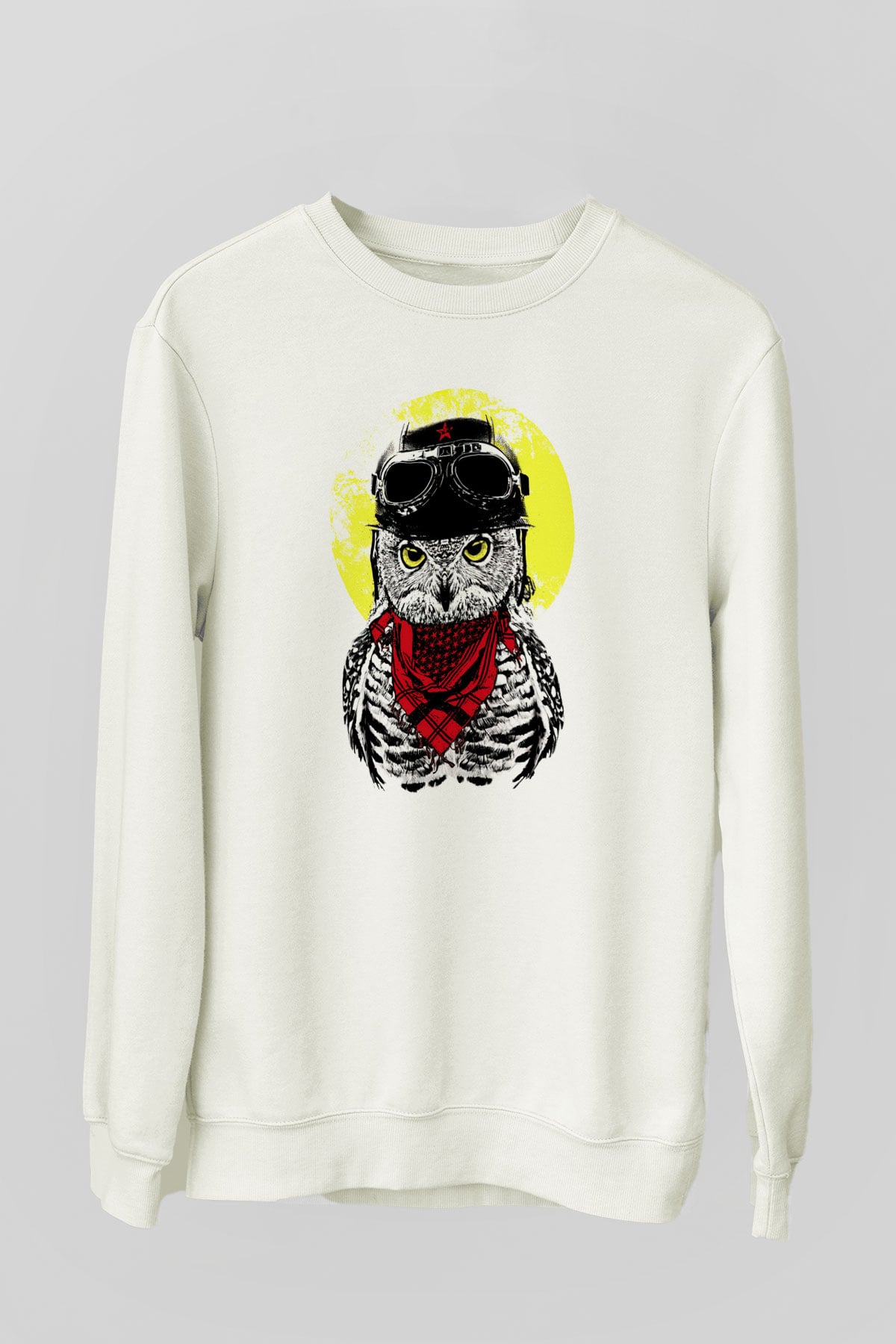 Tasarım Sweatshirt TSR283