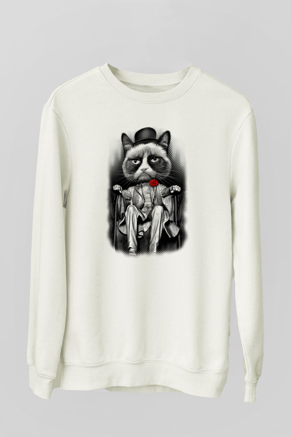 Tasarım Sweatshirt TSR44