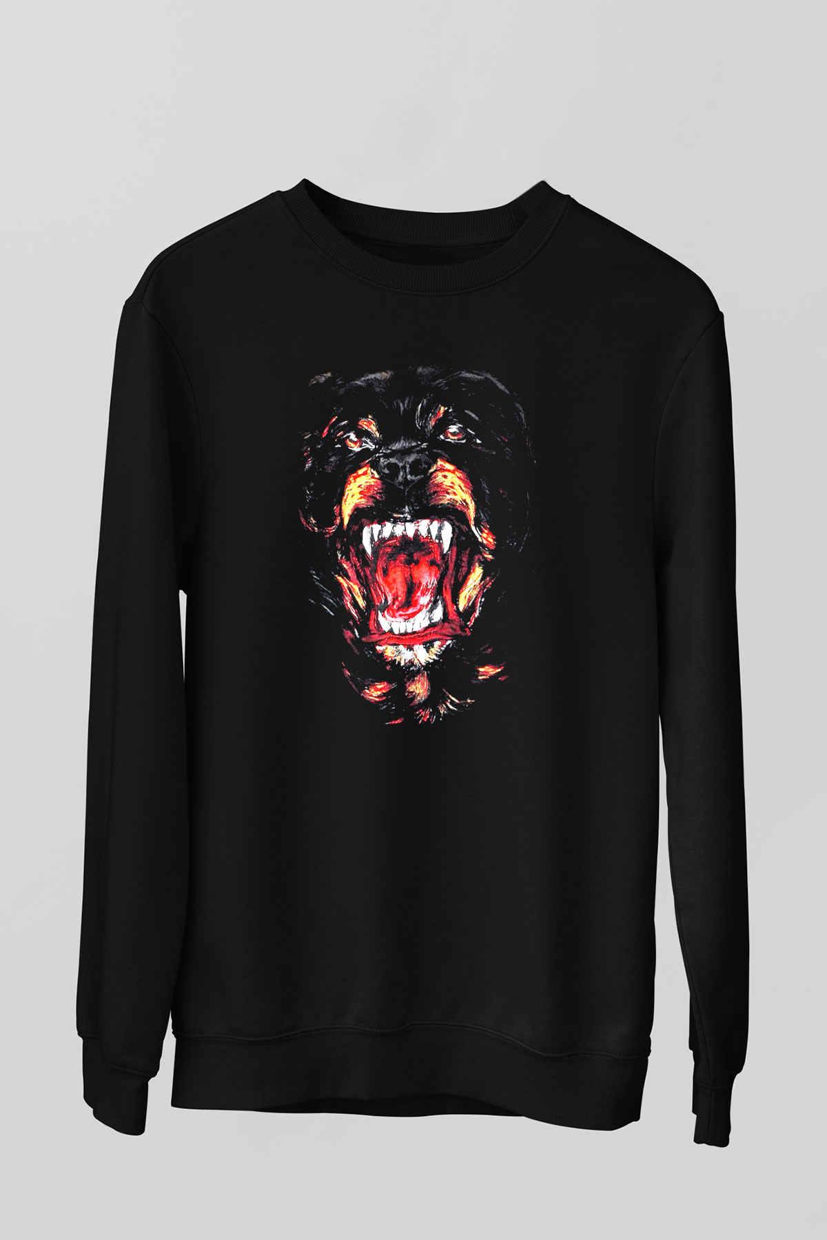 Unisex Sweatshirt TSR127