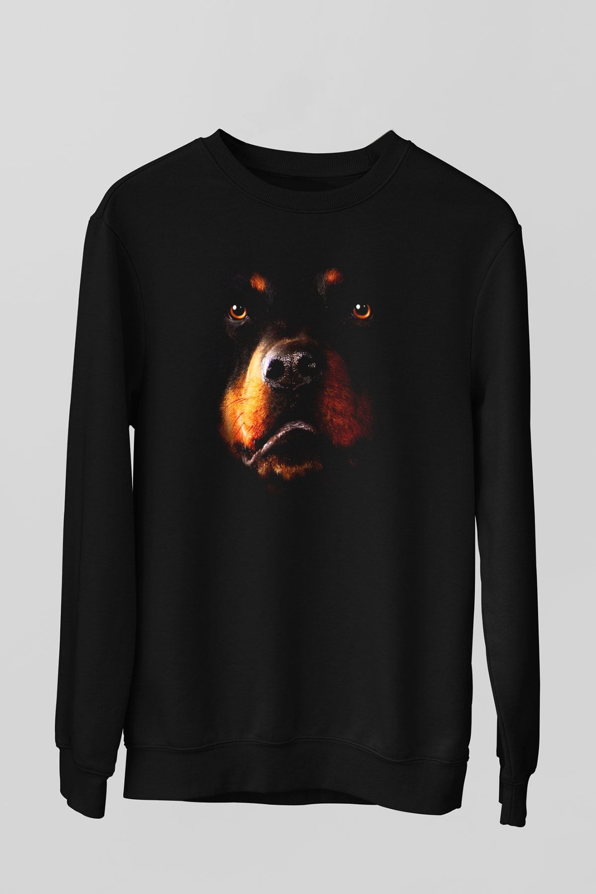 Unisex Sweatshirt TSR149