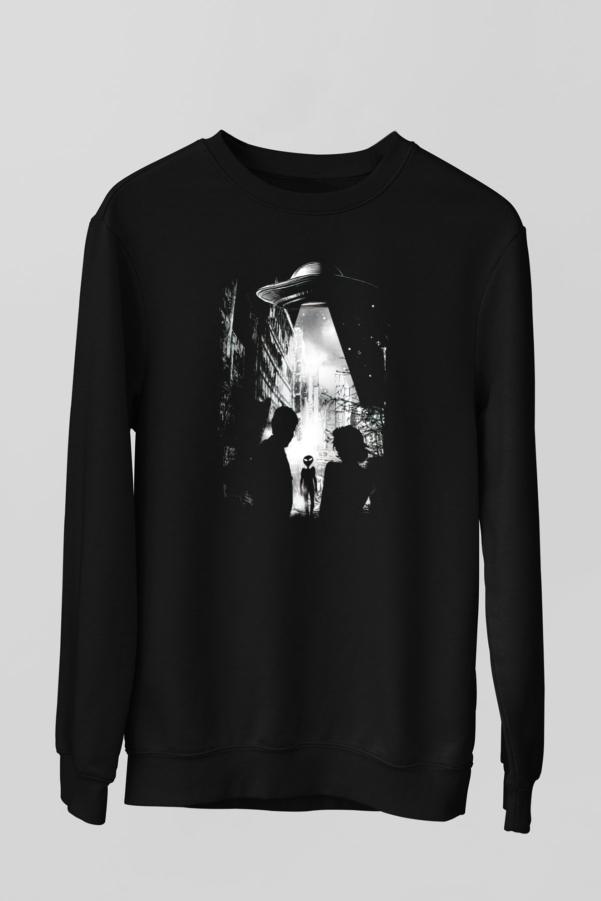 Unisex Sweatshirt TSR328