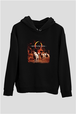 A Perfect Circle Baskılı Unisex Siyah Hoodie