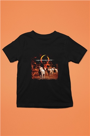 A Perfect Circle Baskılı Unisex Siyah Çocuk Tişört