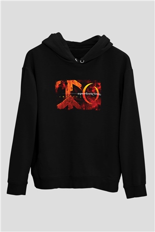 A Perfect Circle Baskılı Unisex Siyah Hoodie