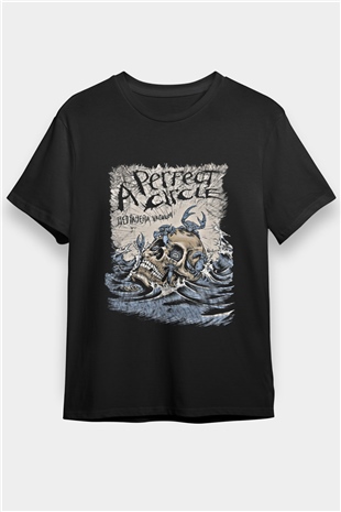 A Perfect Circle Baskılı Unisex Siyah Tişört