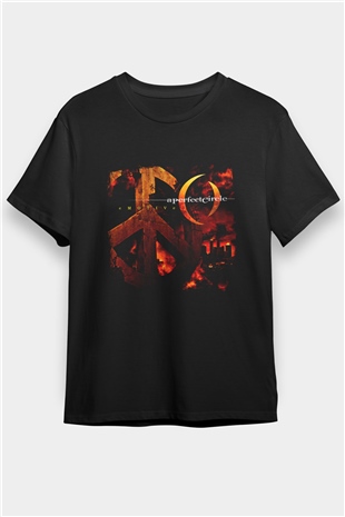 A Perfect Circle Baskılı Unisex Siyah Tişört