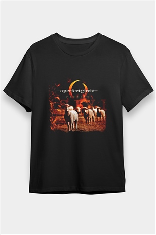 A Perfect Circle Baskılı Unisex Siyah Tişört