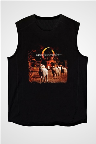 A Perfect Circle Baskılı Unisex Siyah Kolsuz Tişört