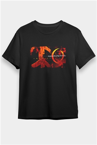 A Perfect Circle Baskılı Unisex Siyah Tişört