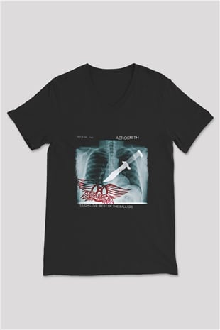 Aerosmith Baskılı Unisex Siyah V Yaka Tişört