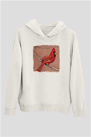 Alexisonfire Baskılı Unisex Beyaz Hoodie