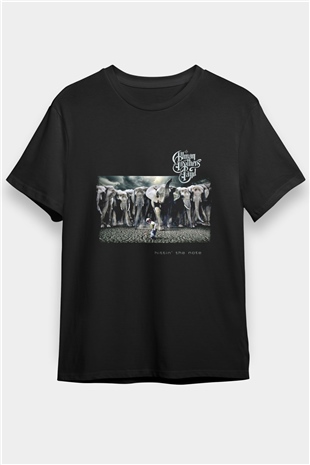Allman Brothers Band Baskılı Unisex Siyah Tişört
