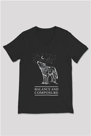 Balance and Composure Siyah Unisex V Yaka Tişört T-Shirt