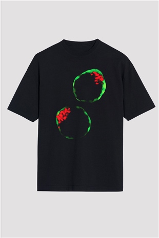 Embriyolog Siyah Unisex Oversize Tişört T-Shirt
