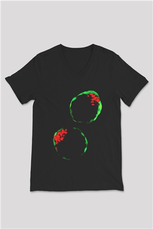 Embriyolog Siyah Unisex V Yaka Tişört T-Shirt