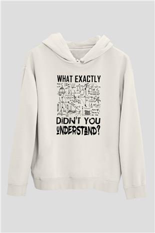 Fizik Grafikler Denklemler Baskılı Unisex Ekru Hoodie