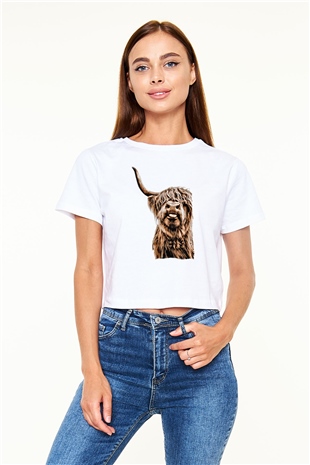 Lama Baskılı  Beyaz  Crop Top Tişört