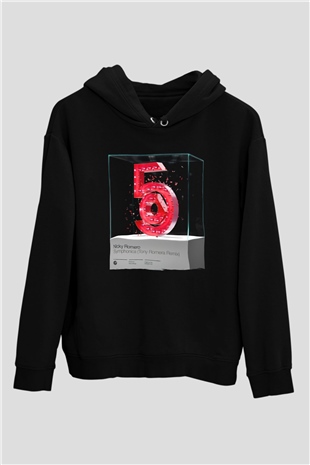 Nicky Romero Siyah Unisex Kapüşonlu Sweatshirt