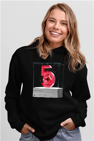 Nicky Romero Siyah Unisex Kapüşonlu Sweatshirt