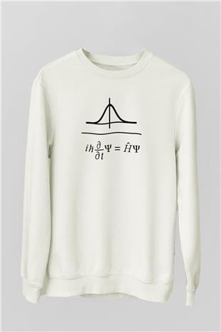 Schrödinger Dalga Denklemi Baskılı Unisex Ekru Sweatshirt