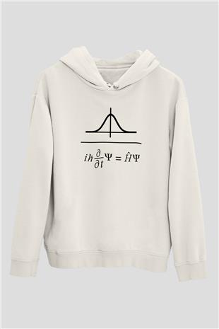 Schrödinger Dalga Denklemi Baskılı Unisex Ekru Hoodie