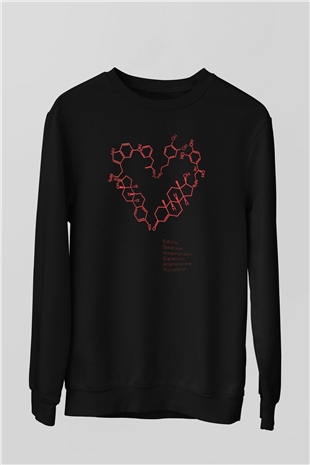 Seratonin Dopamin Bağ Yapıları Kalp Baskılı Unisex Siyah Sweatshirt