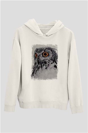 Tasarım Kapşonlu Sweatshirt TSR166