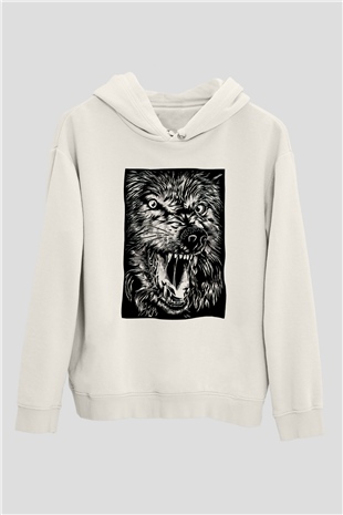 Tasarım Kapşonlu Sweatshirt TSR276