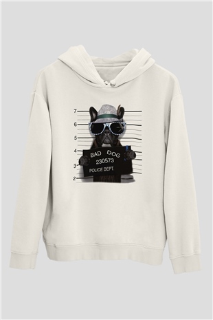 Tasarım Kapşonlu Sweatshirt TSR461