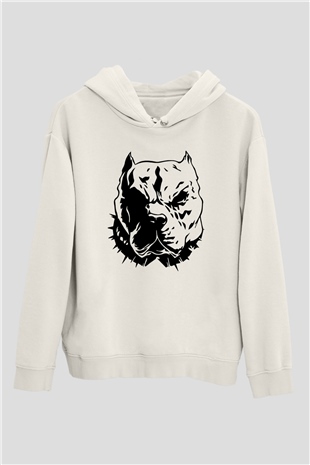 Tasarım Kapşonlu Sweatshirt TSR82