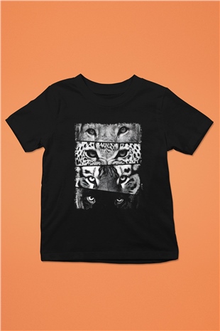 Tasarım  TSR427