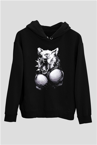 Unisex Hoodie TSR21