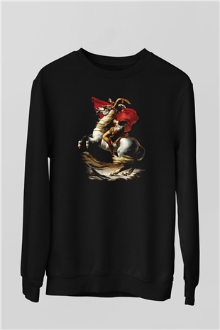 Unisex Sweatshirt TSR37