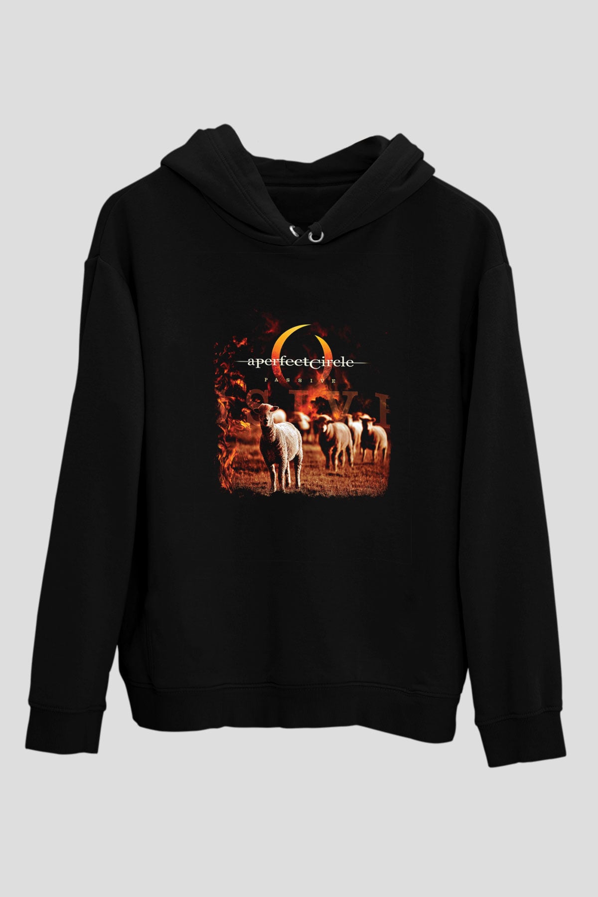 A Perfect Circle Baskılı Unisex Siyah Hoodie