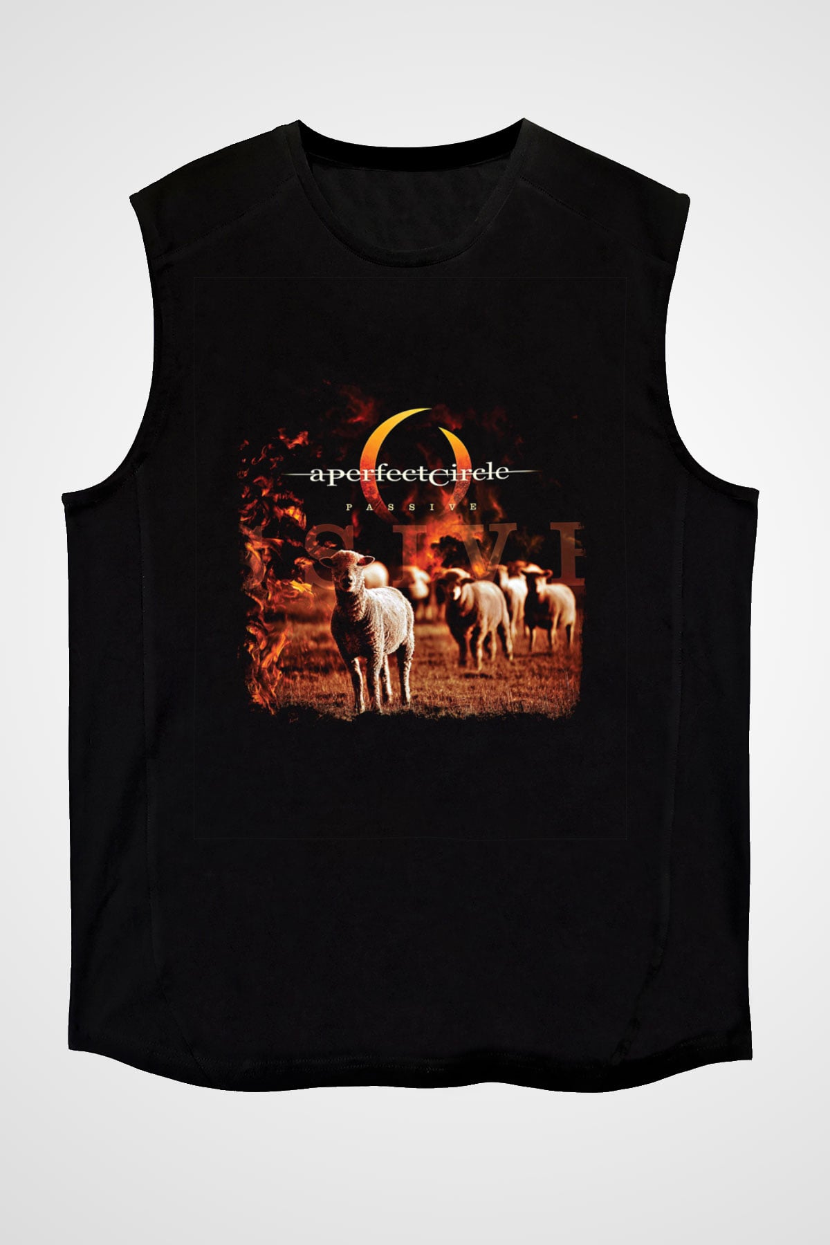 A Perfect Circle Baskılı Unisex Siyah Kolsuz Tişört
