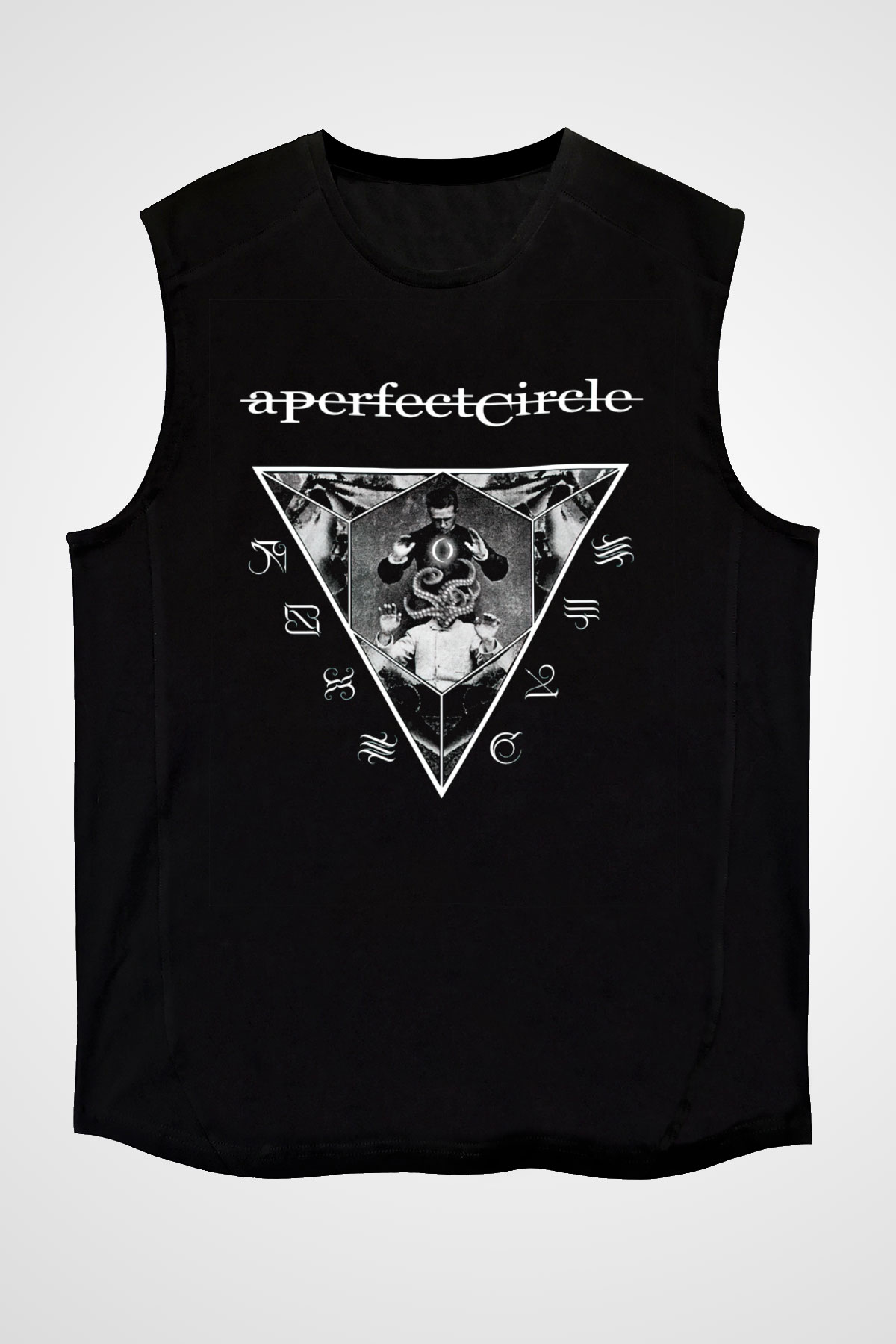 A Perfect Circle Siyah Unisex Kolsuz Tişört