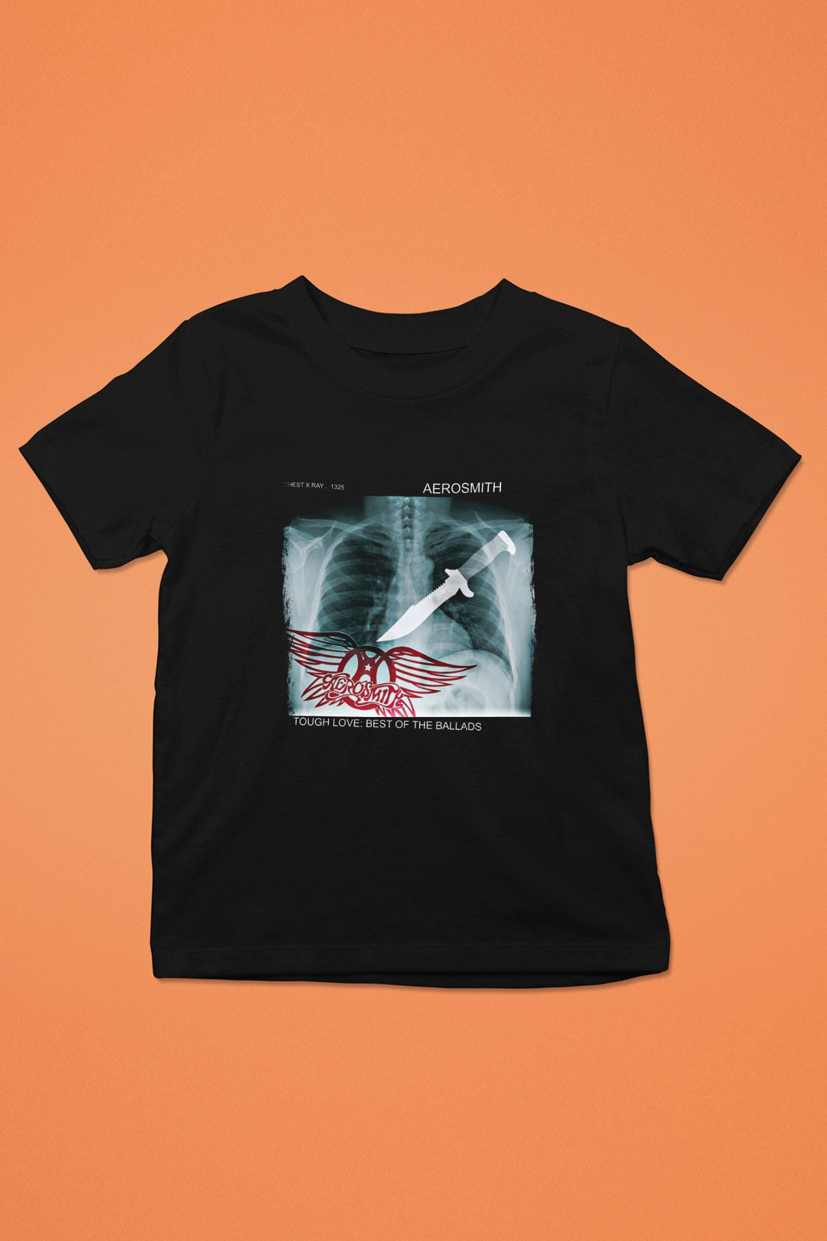 Aerosmith Baskılı Unisex Siyah Çocuk Tişört