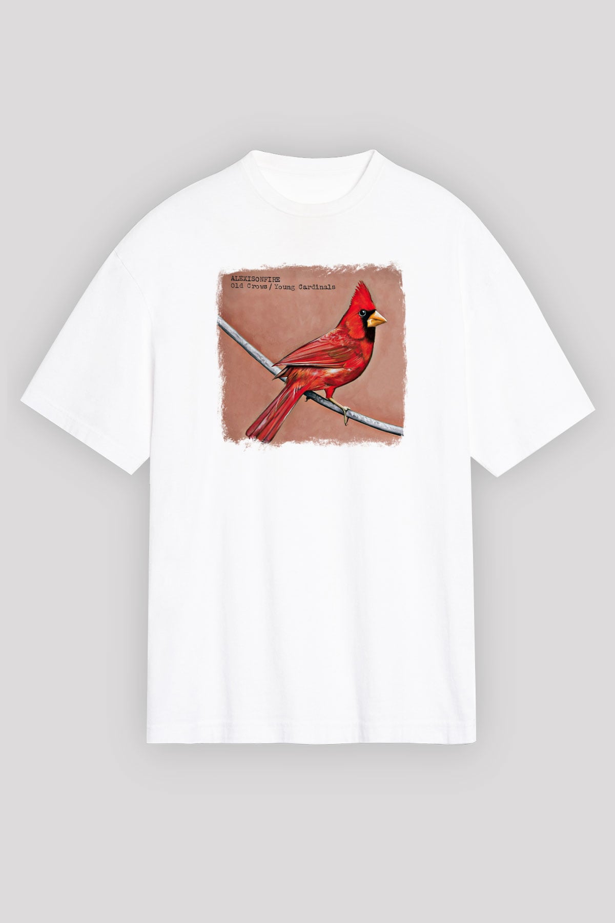 Alexisonfire Baskılı Unisex Beyaz Oversize Tişört