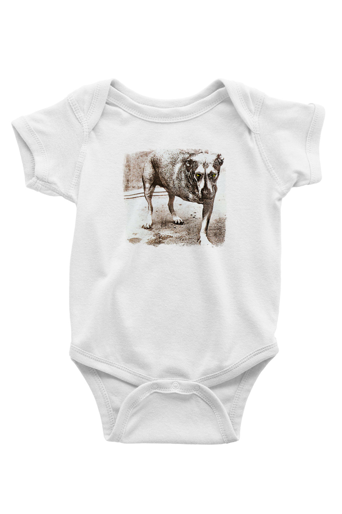 Alice in Chains Baskılı Unisex Beyaz Bebek Body - Zıbın