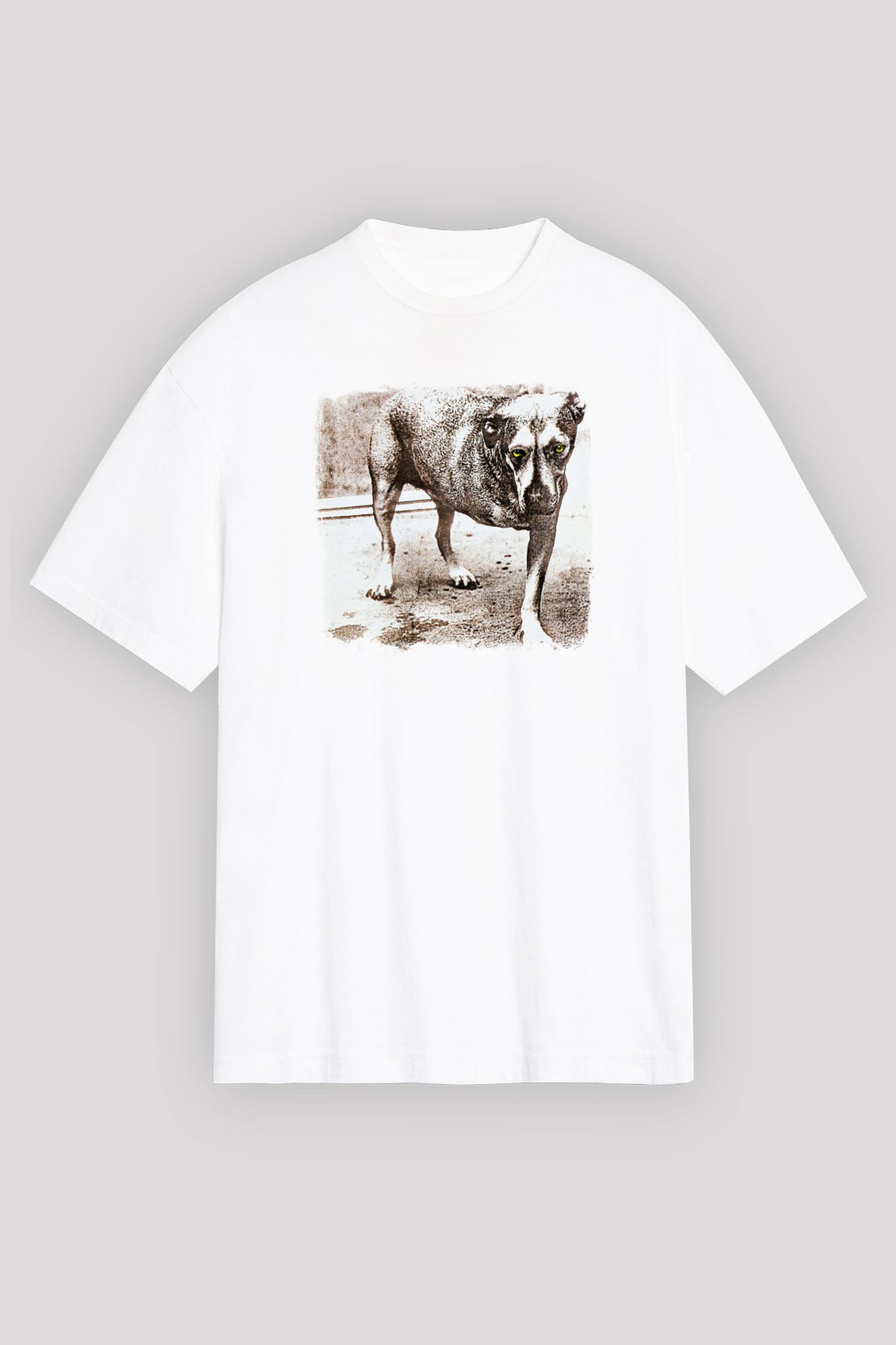 Alice in Chains Baskılı Unisex Beyaz Oversize Tişört