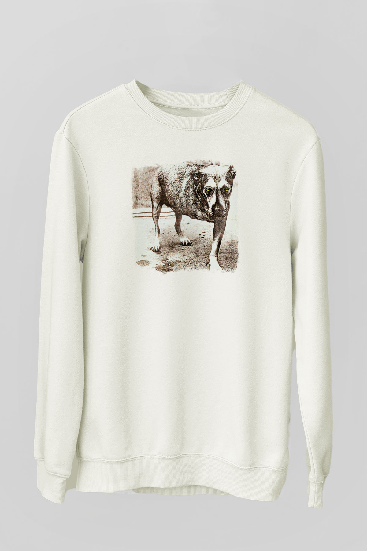 Alice in Chains Baskılı Unisex Beyaz Sweatshirt