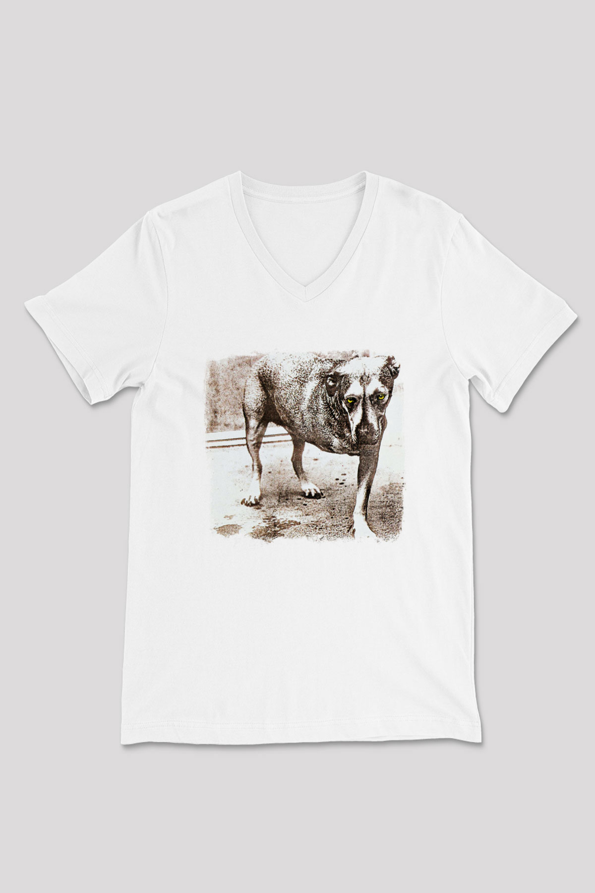 Alice in Chains Baskılı Unisex Beyaz V Yaka Tişört