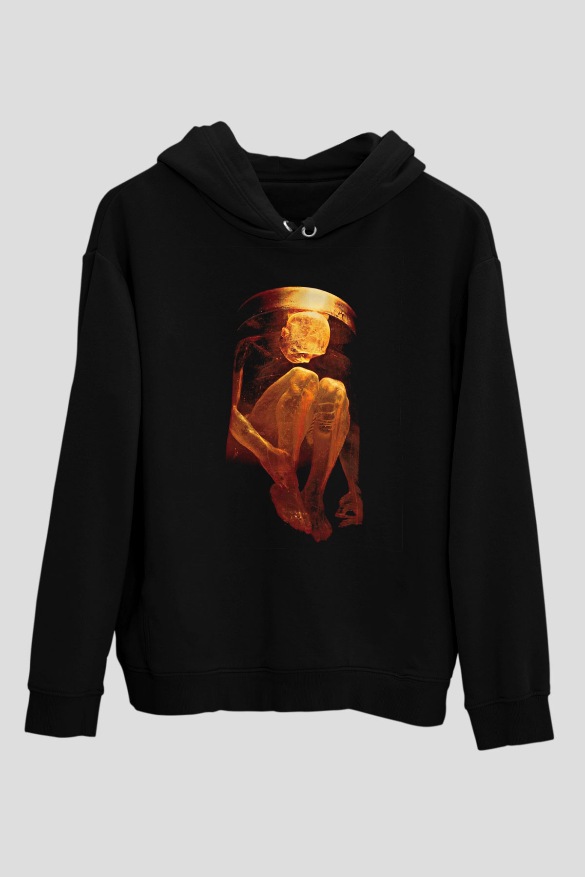 Alice in Chains Baskılı Unisex Siyah Hoodie