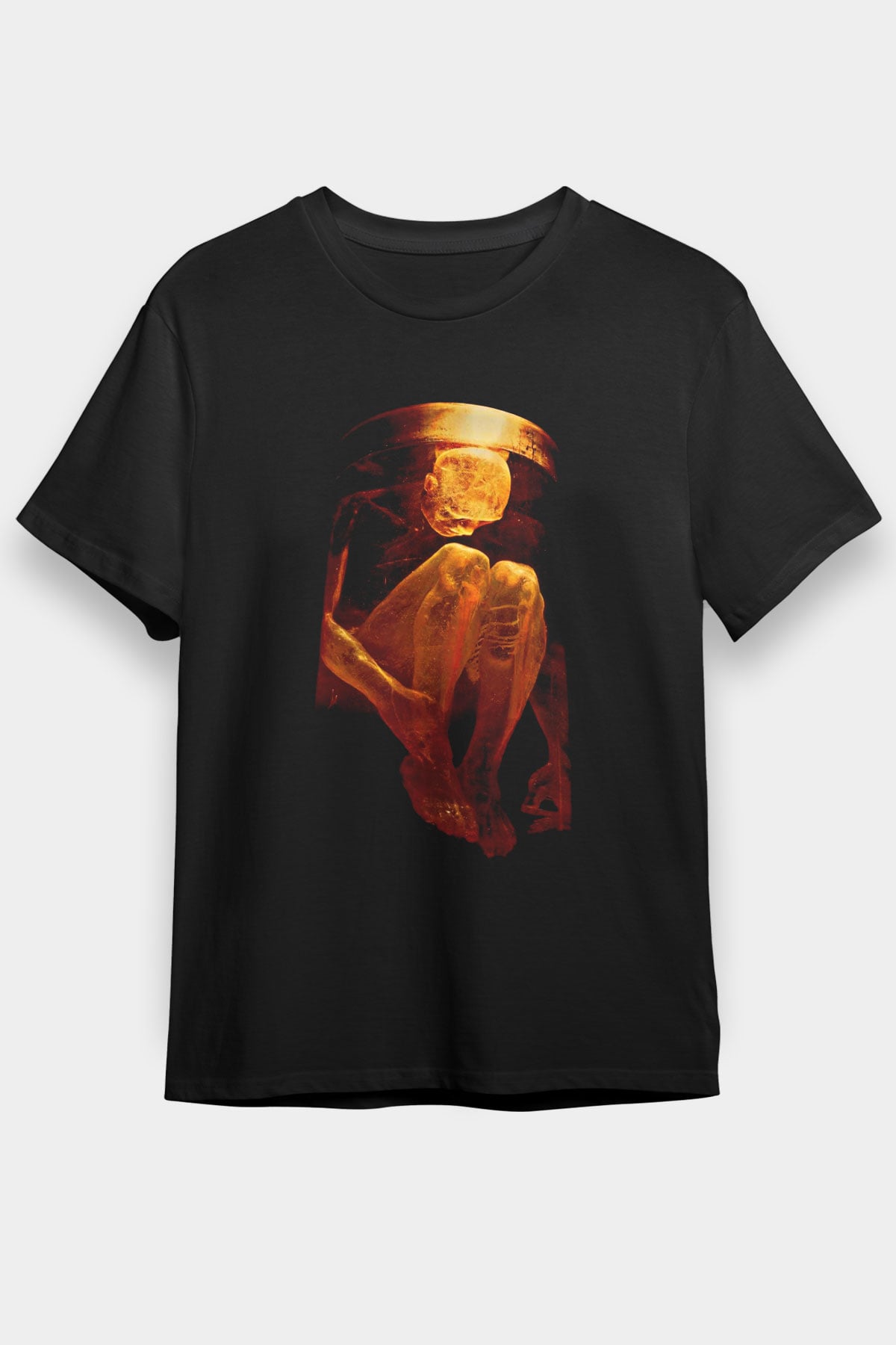 Alice in Chains Baskılı Unisex Siyah Tişört